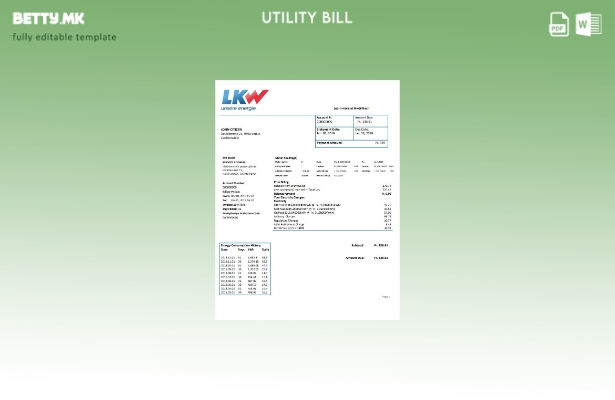 Модерен стил шаблон за комунални сметки за електрична енергија Лихтенштајн Ische